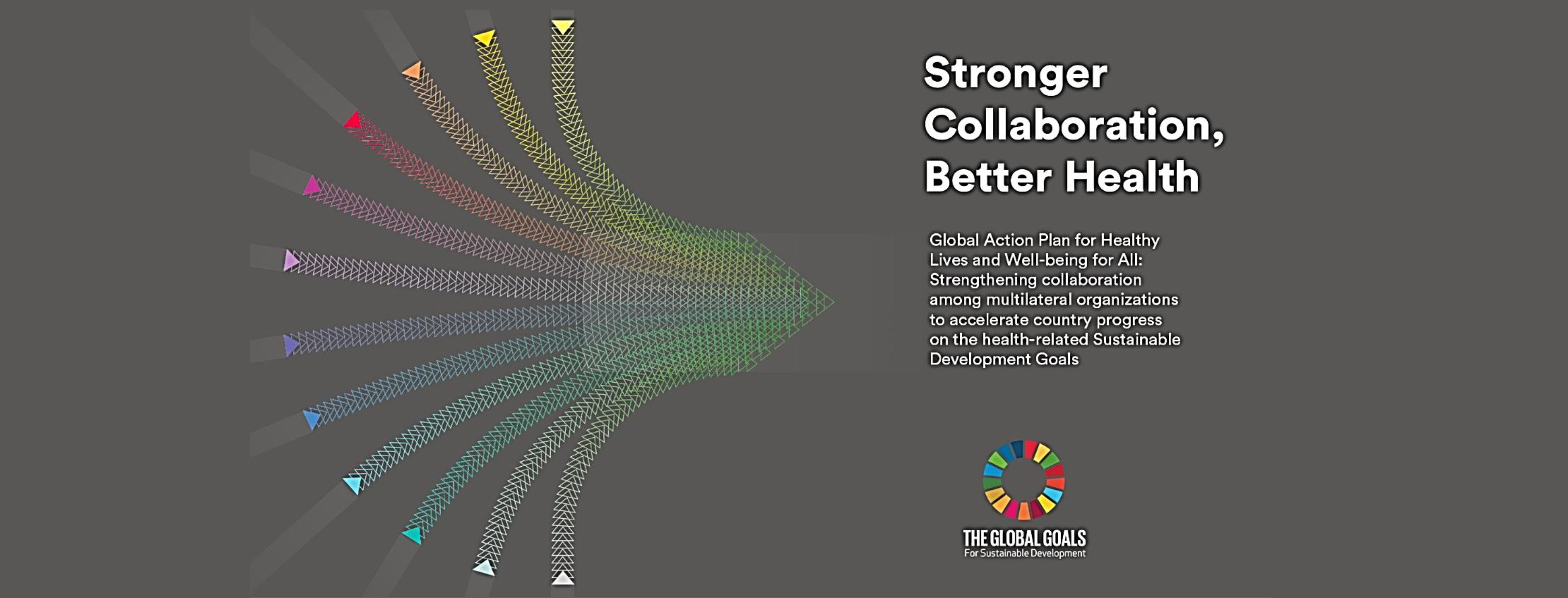Stronger Collaboration, Better Health: Launch of the Global Action Plan